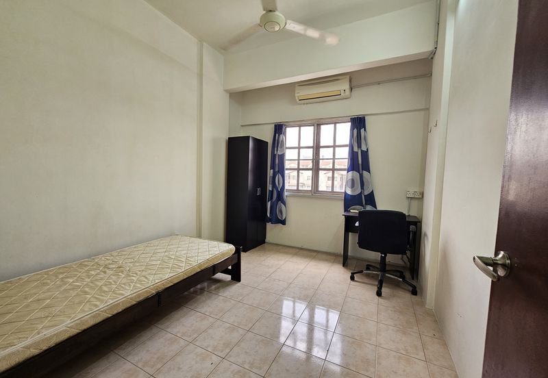 Evergreen Park Acorn and Hazel