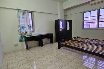 Evergreen Park Acorn and Hazel