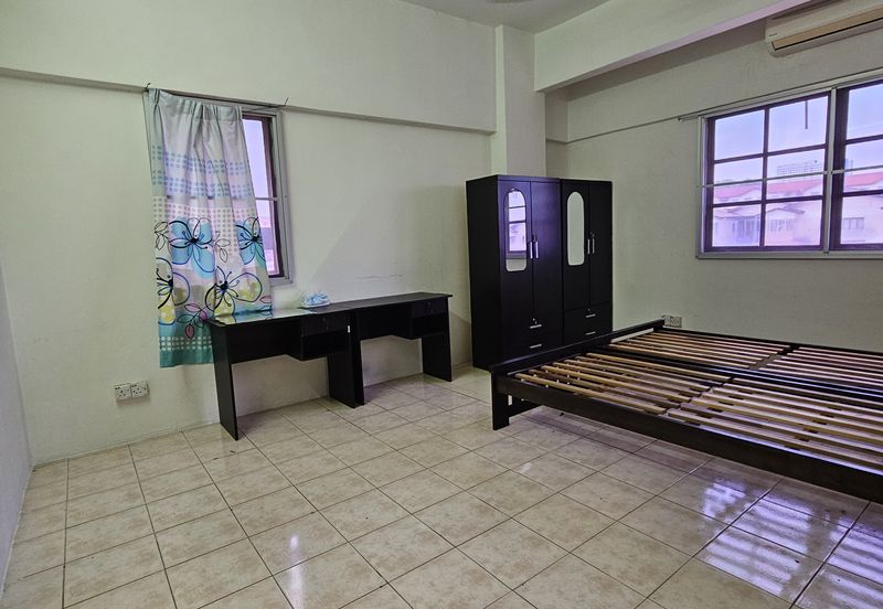 Evergreen Park Acorn and Hazel