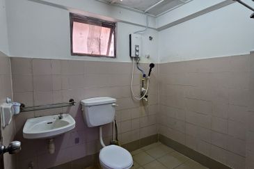 Evergreen Park Acorn and Hazel