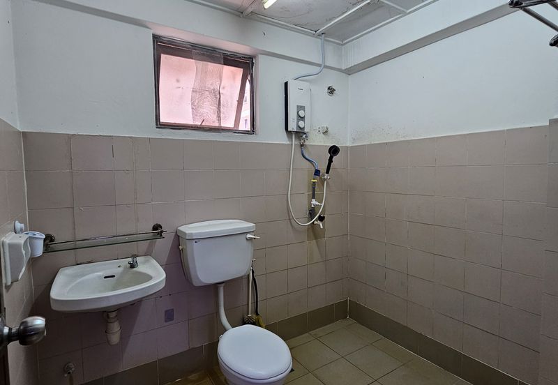 Evergreen Park Acorn and Hazel