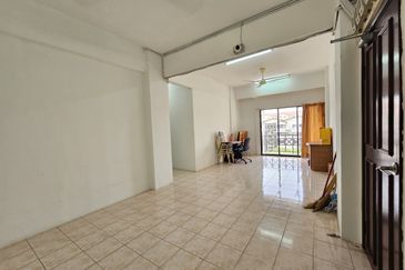 Evergreen Park Acorn and Hazel