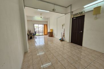 Evergreen Park Acorn and Hazel