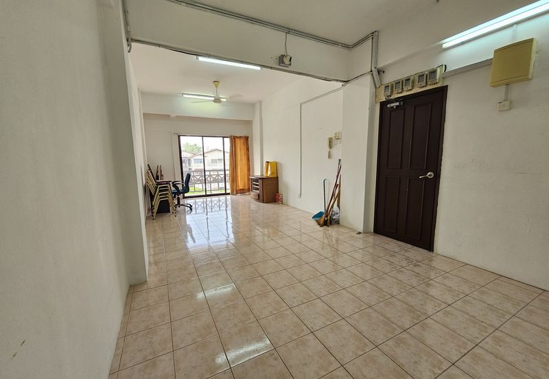 Evergreen Park Acorn and Hazel