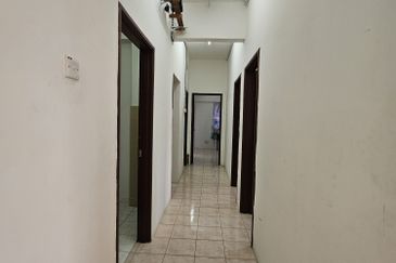 Evergreen Park Acorn and Hazel