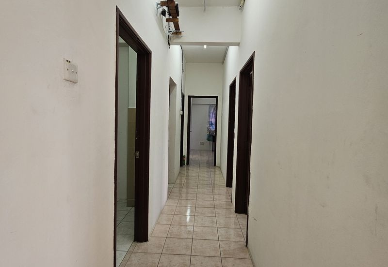 Evergreen Park Acorn and Hazel