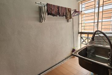 Evergreen Park Acorn and Hazel