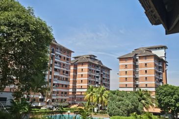 Evergreen Park Acorn and Hazel