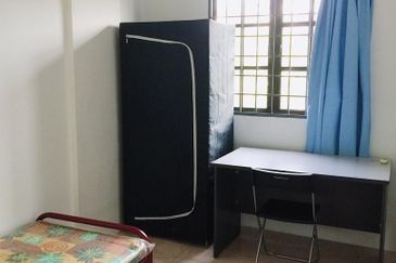 Evergreen Park Acorn and Hazel