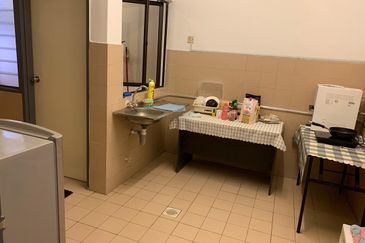 Evergreen Park Acorn and Hazel