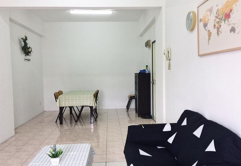 Evergreen Park Acorn and Hazel