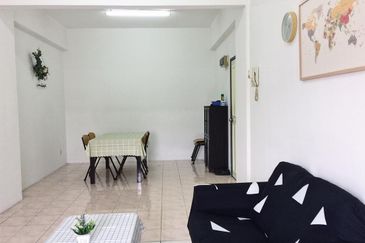 Evergreen Park Acorn and Hazel