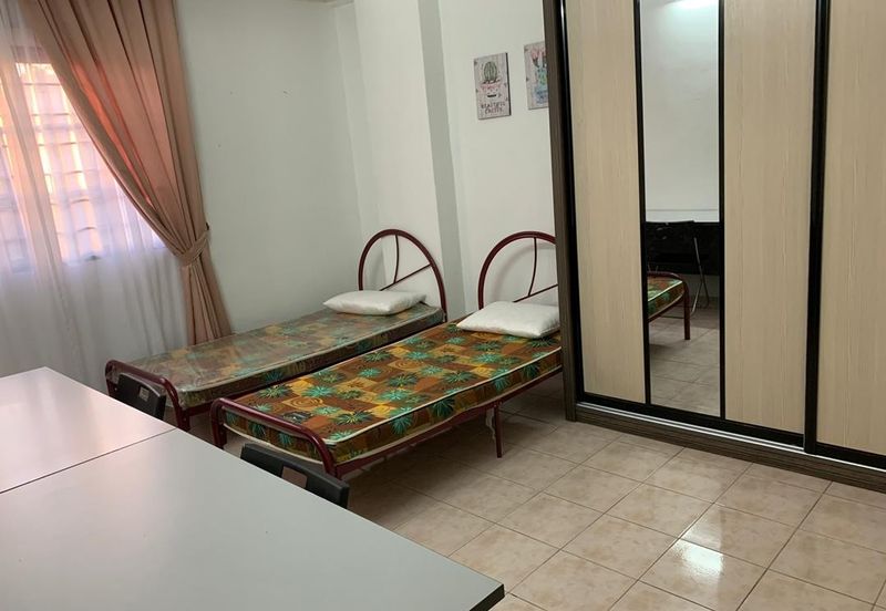 Evergreen Park Acorn and Hazel