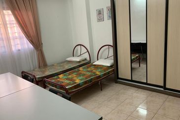 Evergreen Park Acorn and Hazel