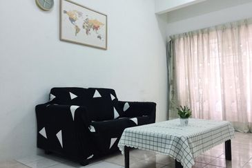 Evergreen Park Acorn and Hazel