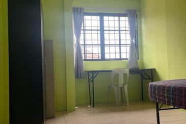 Evergreen Park Acorn and Hazel