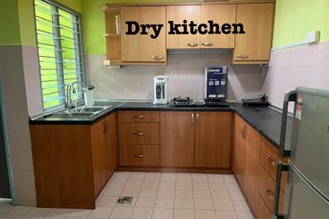 Evergreen Park Acorn and Hazel