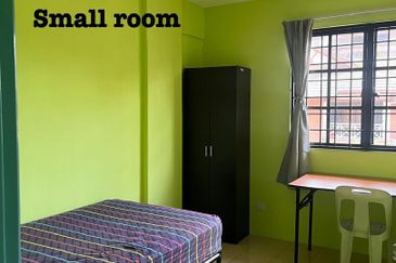 Evergreen Park Acorn and Hazel