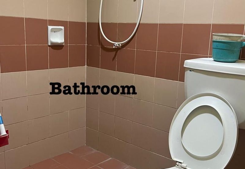 Evergreen Park Acorn and Hazel