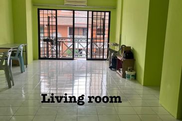 Evergreen Park Acorn and Hazel