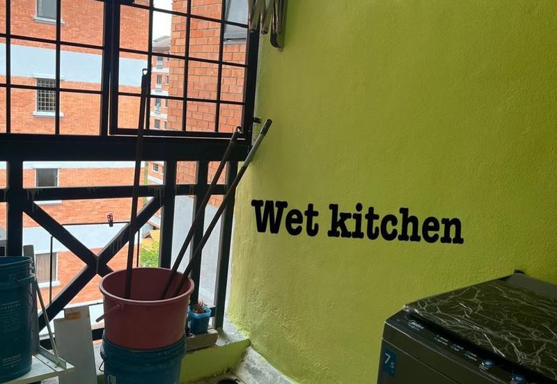 Evergreen Park Acorn and Hazel