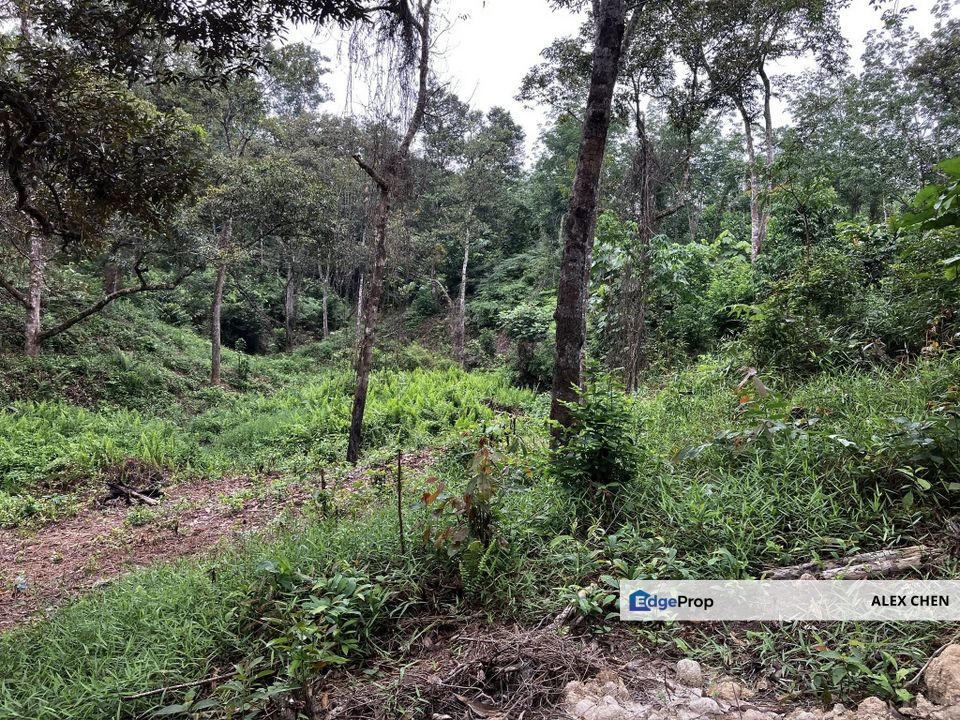 Sungai Lalang Land for Sale, Agricultural Land at Jalan Sungai Lalang Semenyih, Selangor, Semenyih