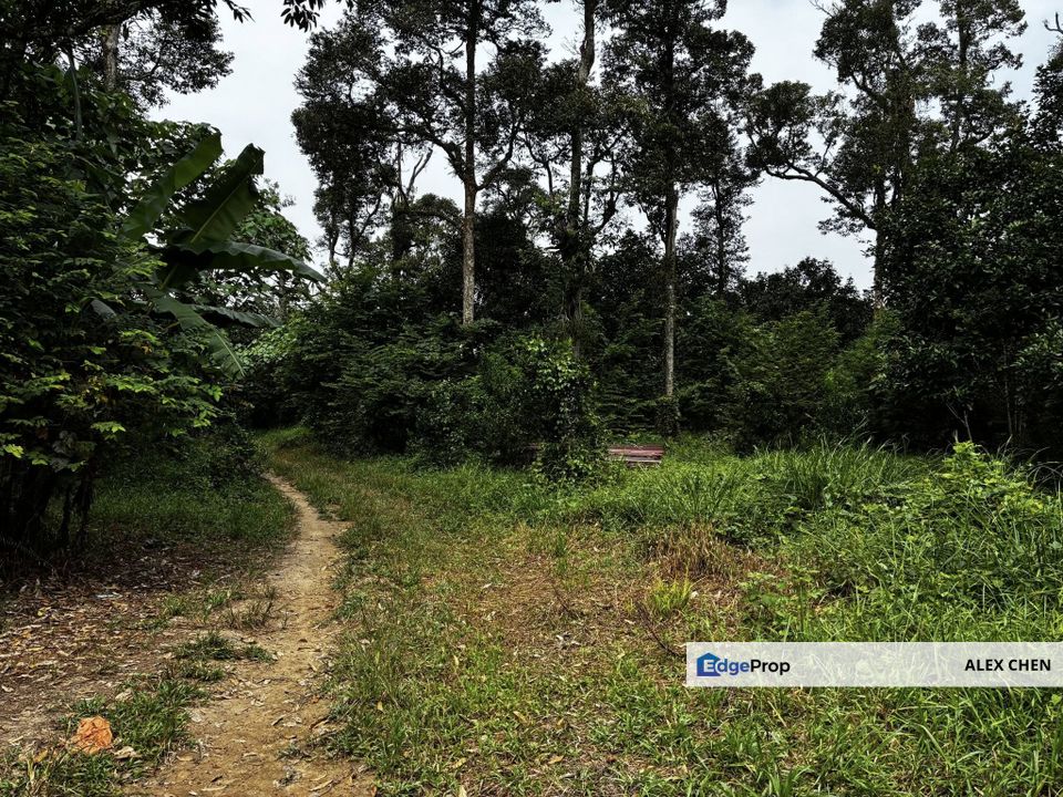 Sungai Lalang Land for Sale, Agricultural Land at Jalan Sungai Lalang Semenyih, Selangor, Semenyih