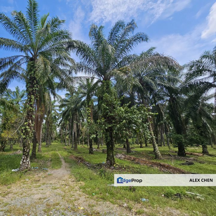 Dengkil Agricultural Land for Sale 4 Acres, Residential Zoning, Flat Land, Good Road Access, Selangor, Sepang
