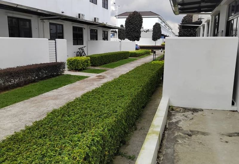 Tate Callington @ Eco Botanic 2