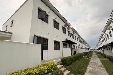 Tate Dalton @ Eco Botanic 2