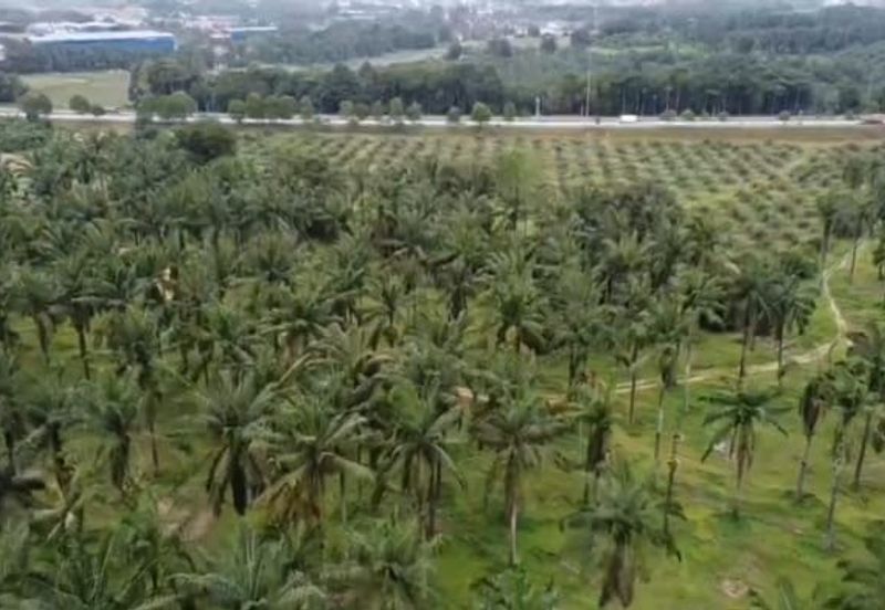 Agricultural land for sale @ Kulai nearby Johor Premium Outlet 