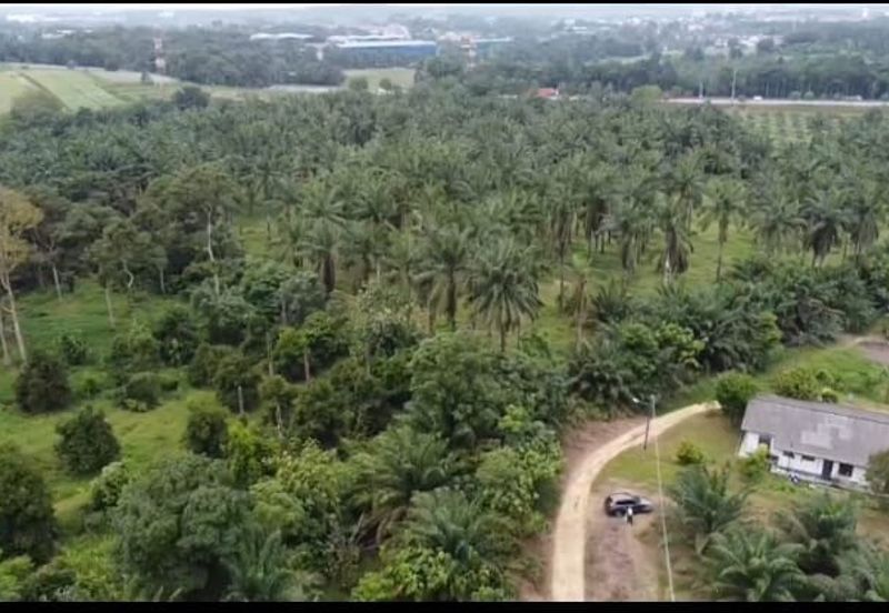 Agricultural land for sale @ Kulai nearby Johor Premium Outlet 