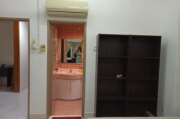 Evergreen Park Scot Pine