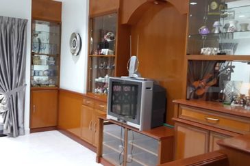 Evergreen Park Scot Pine