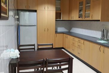 Evergreen Park Scot Pine