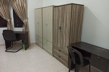 Evergreen Park Scot Pine