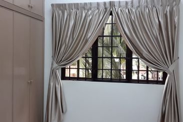 Evergreen Park Scot Pine