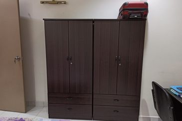 Evergreen Park Scot Pine