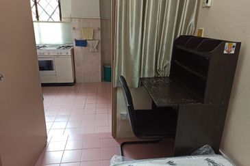 Evergreen Park Scot Pine