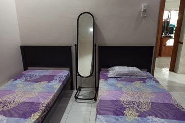 Evergreen Park Scot Pine