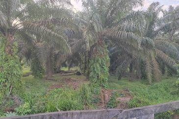 Jalan Kota Tinggi