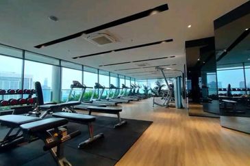 The Colony by Infinitum