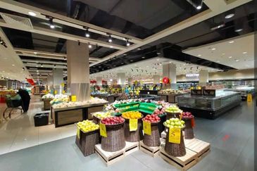 The Colony by Infinitum