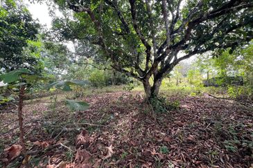 Kampung Baru Sungai Buloh