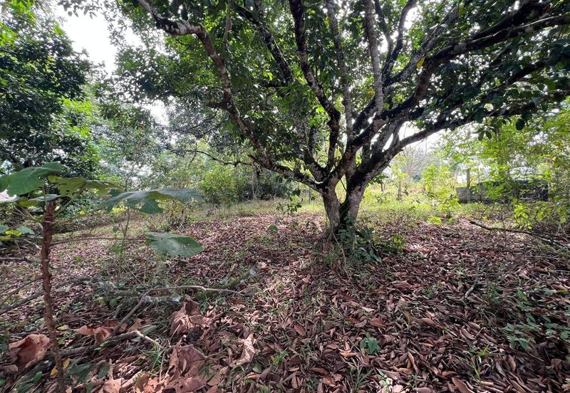 Kampung Baru Sungai Buloh