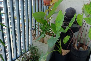 PR1MA Lakefront Homes