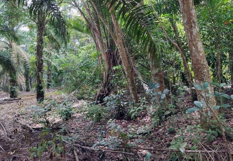 Senai Industrial Park