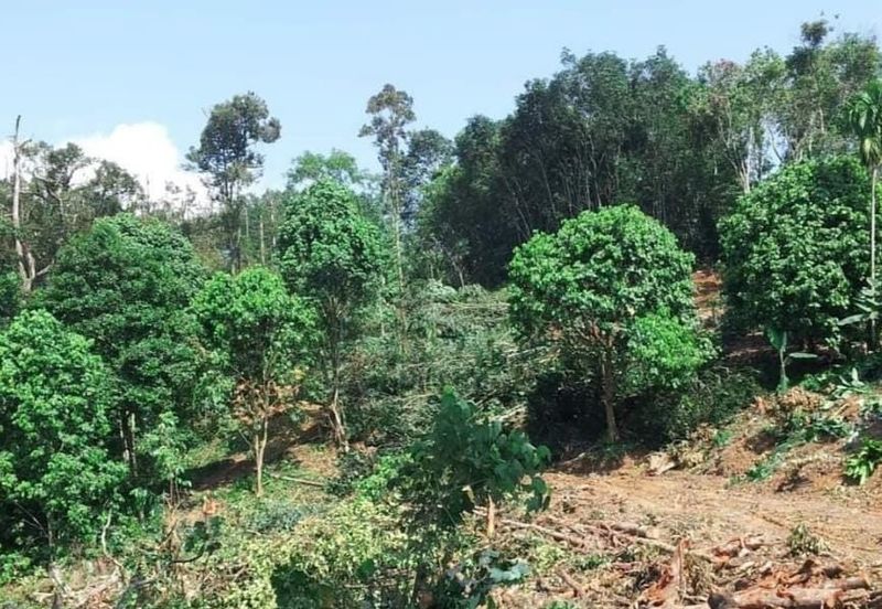 [URGENT]! HULU LANGAT, KAJANG -TANAH FREEHOLD UNTUK DI JUAL!!! -Tanah Cantik & Mudah Akses