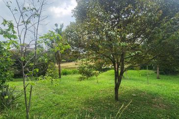 Planters Haven (Bungalow), Nilai