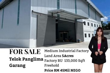 Kawasan Perusahaan Telok Mengkuang